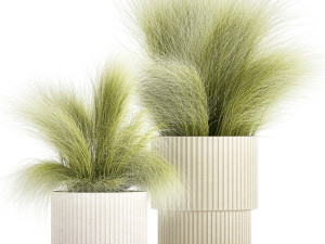 Beautiful Bushes and Stipa Feather Grass flower pot for decoration 1287 3D Model