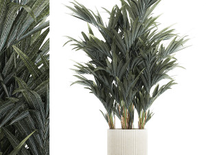 Beautiful palm tree in a flower pot for decoration 1281 3D Model