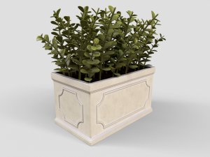 Boxwood Plant pot 3D Model
