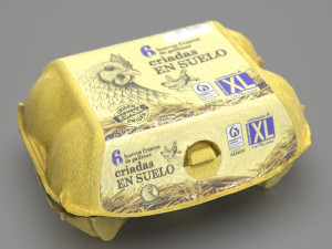 Egg Box 3D Model