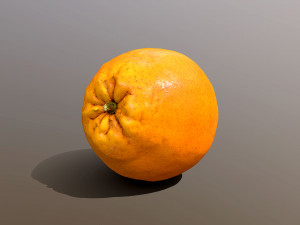 Novel Orange 3D Model