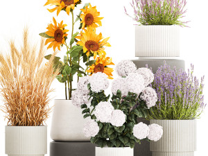 Set of beautiful plants and flowers in flowerpot 1307 3D Model