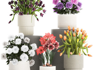 Set of beautiful plants and flowers in flowerpots 1308 3D Model