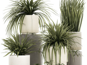 Set of beautiful plants Chlorophytum bush in a pot 1302 3D Model