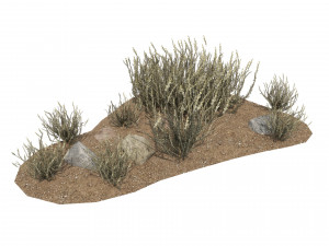 Silver Sagebrush Bushes 3D Model